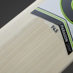GM Paragon Original L.E English Willow Cricket Bat